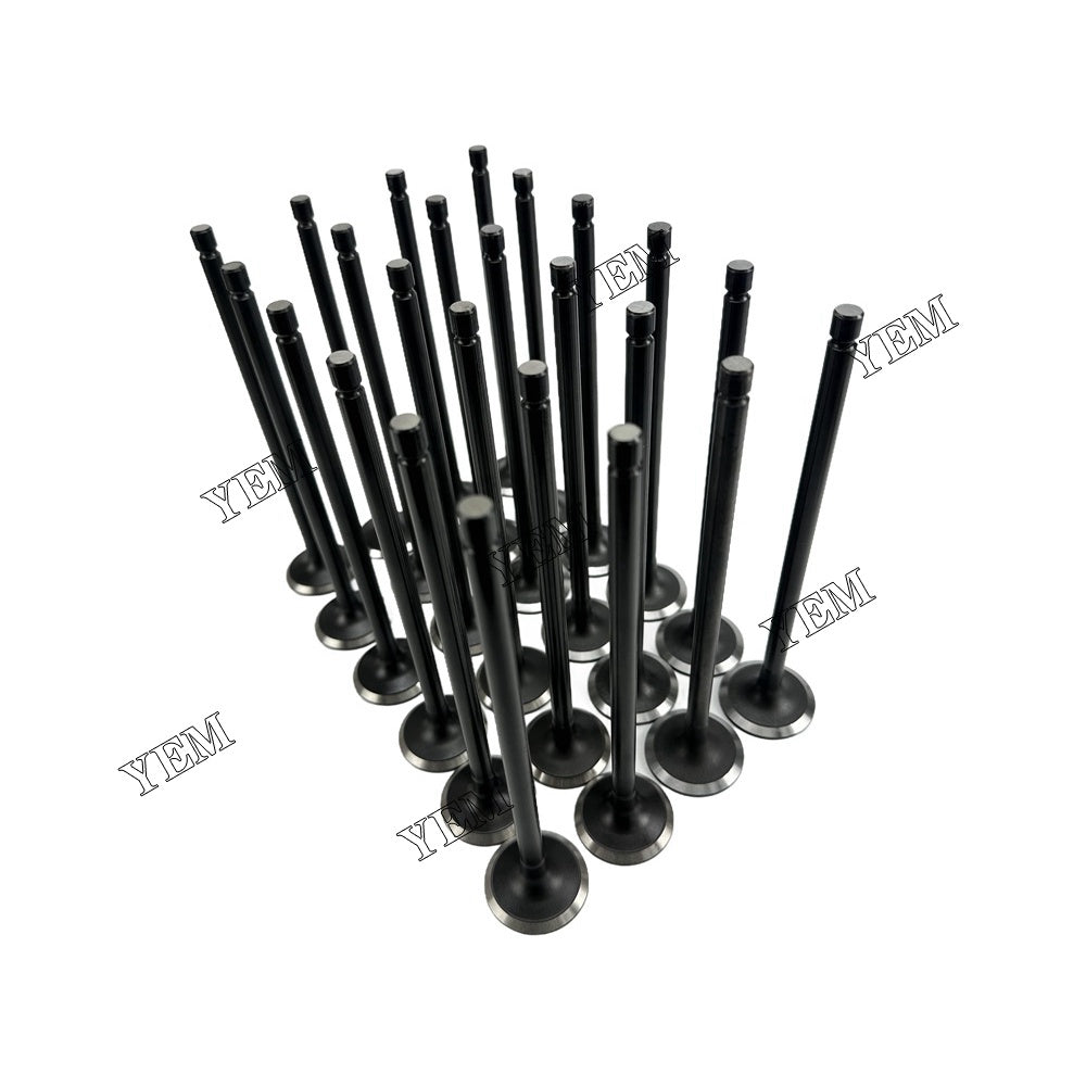 YEM Parts For Hyundai Intake and exhaust valves D6CB Engine Spare Parts For Hyundai