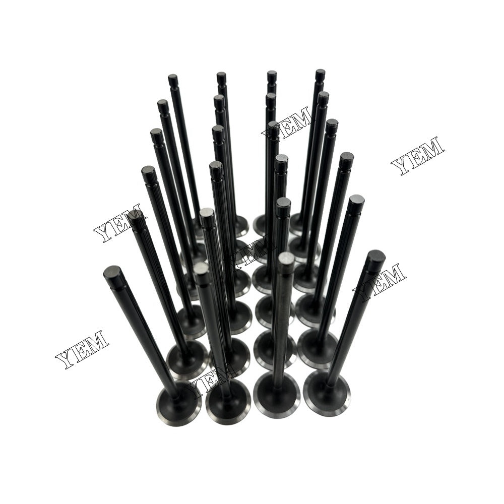 YEM Parts For Hyundai Intake and exhaust valves D6CB Engine Spare Parts For Hyundai