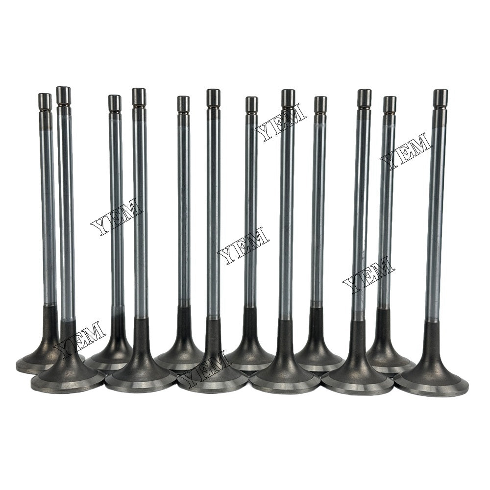 YEM Parts Part Number 3090371 3804891 Exhaust Valve For Cummins KTA19 Engine