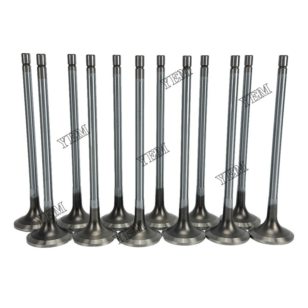 YEM Parts Part Number 3090469 3804892 ntake Valve For Cummins QSK19 Engine For Cummins