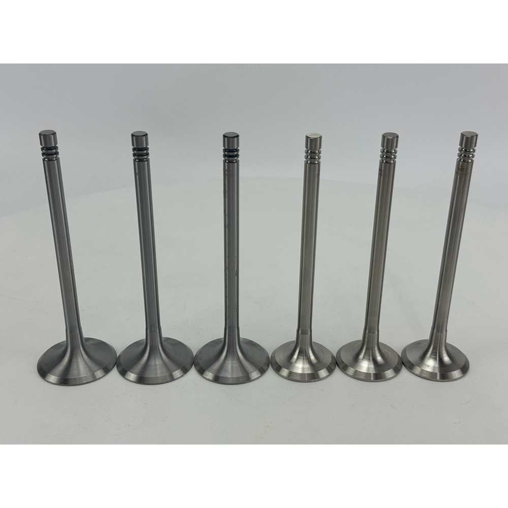 YEM Parts 3 pcs Intake and Exhaust Valve 04159139+04159136 for Deutz F3L912W Engine