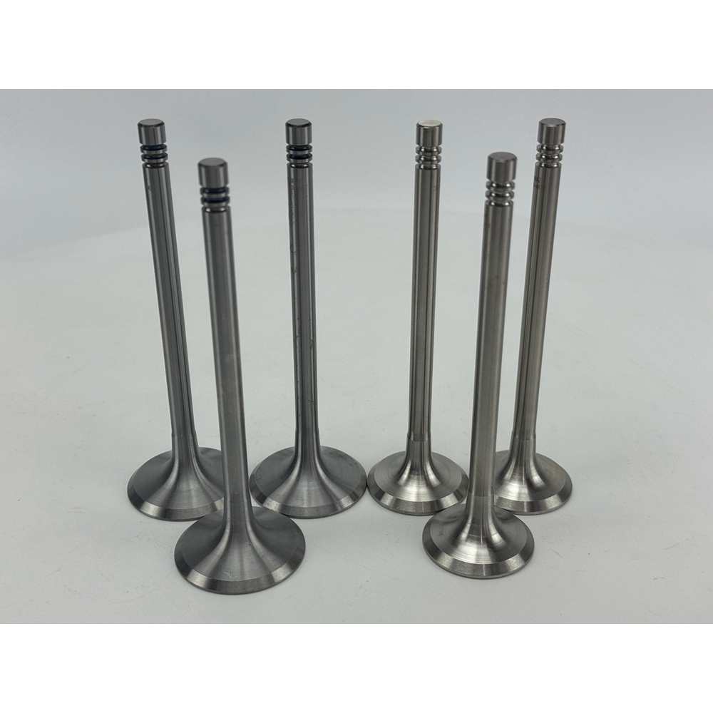 YEM Parts 3 pcs Intake and Exhaust Valve 04159139+04159136 for Deutz F3L912W Engine
