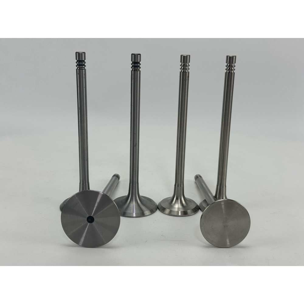 YEM Parts 3 pcs Intake and Exhaust Valve 04159139+04159136 for Deutz F3L912W Engine For Deutz