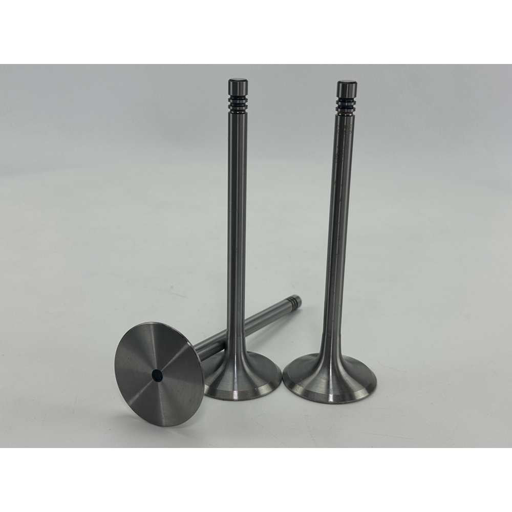 YEM Parts 3 pcs Intake and Exhaust Valve 04159139+04159136 for Deutz F3L912W Engine