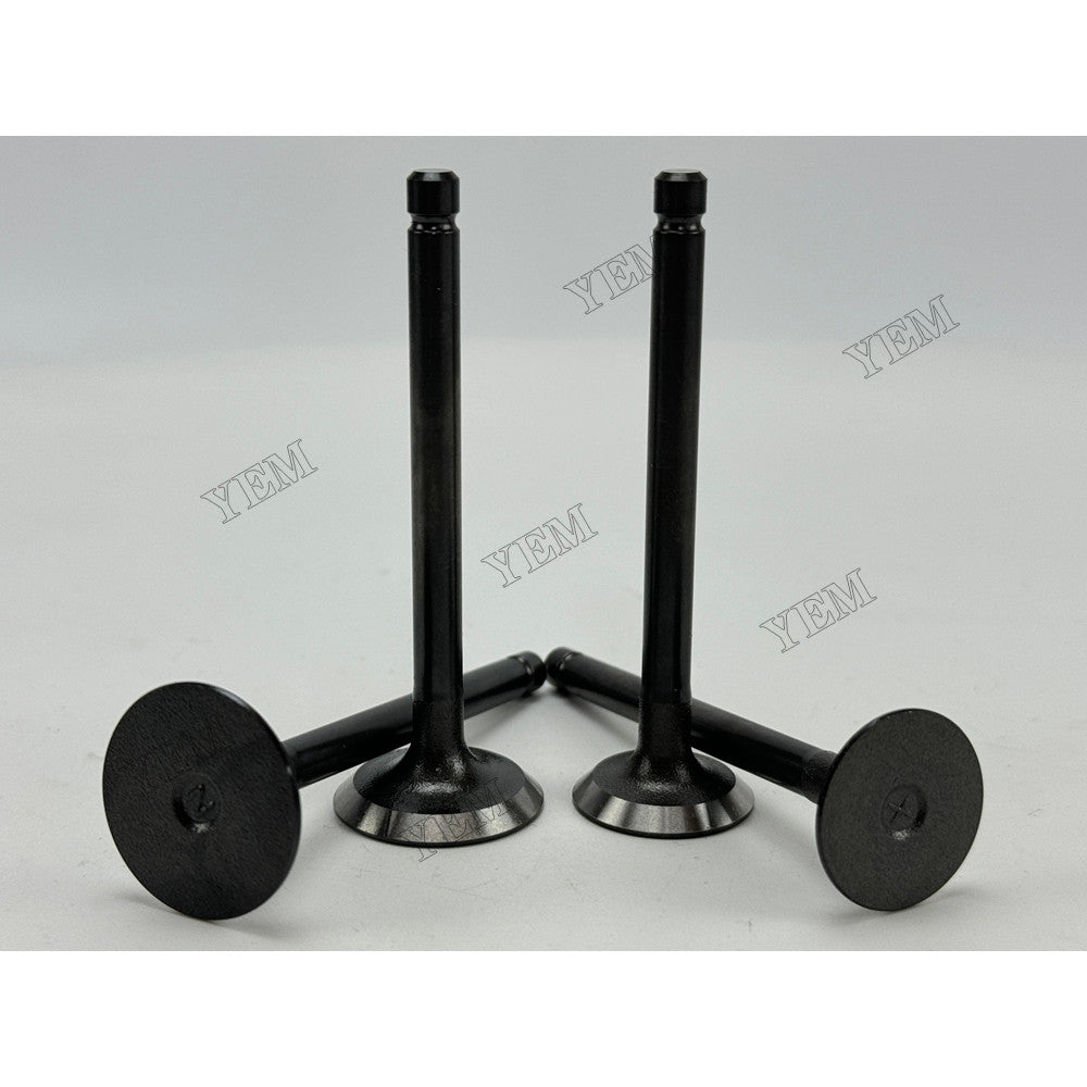 YEM Parts 2 pcs Intake and Exhaust Valve 1G686-13110 1G686-13120 for Kubota Z402 Engine
