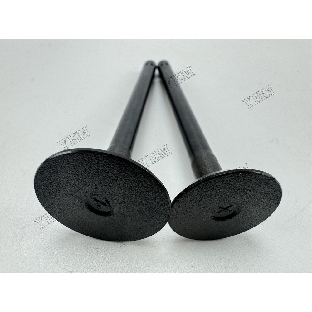 YEM Parts 2 pcs Intake and Exhaust Valve 1G686-13110 1G686-13120 for Kubota Z402 Engine For Kubota