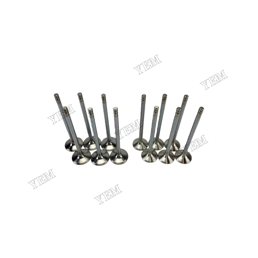 YEM Parts 8192143 3825723 Intake & Exhaust Valves for Volvo TD640VE Spare Parts For Volvo