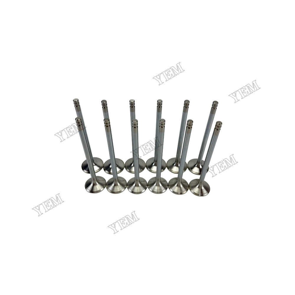 YEM Parts 8192143 3825723 Intake & Exhaust Valves for Volvo TD640VE Spare Parts For Volvo