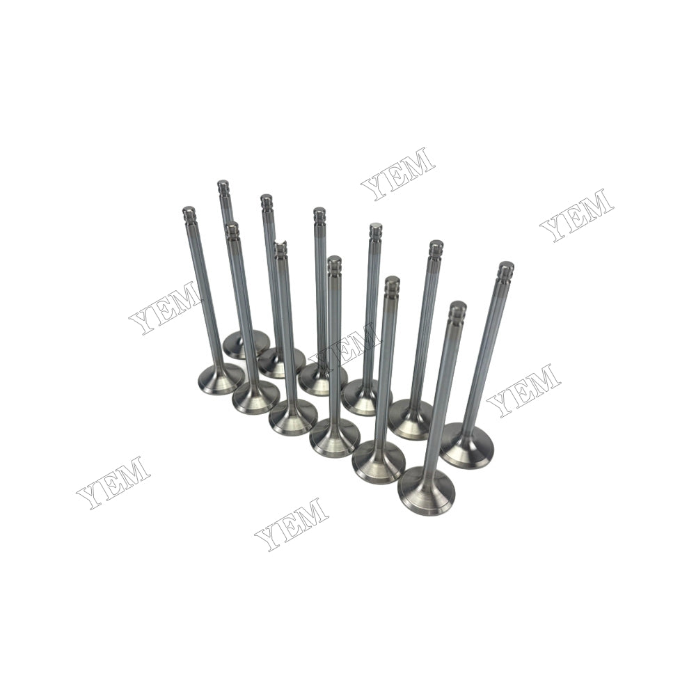 YEM Parts 8192143 3825723 Intake & Exhaust Valves for Volvo TD640VE Spare Parts For Volvo