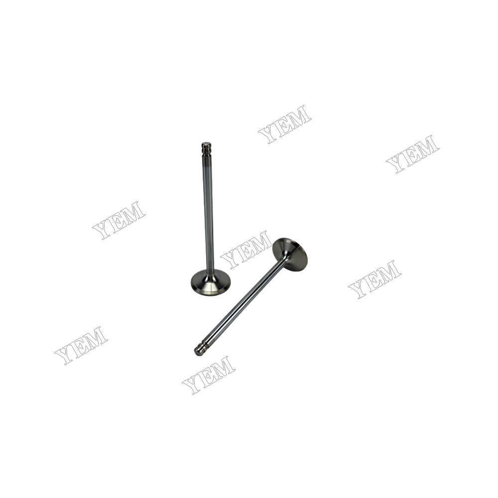 YEM Parts 3825723 Intake Valve for Volvo TD640VE Diesel Engine Spare Parts