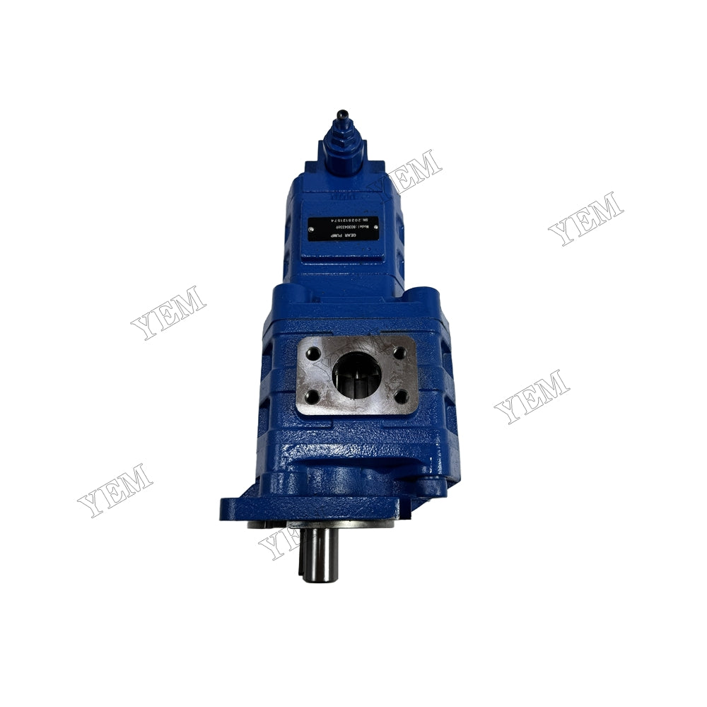 YEM Parts 803043369 Tandem Pump for Xugong Diesel Engine Spare Parts