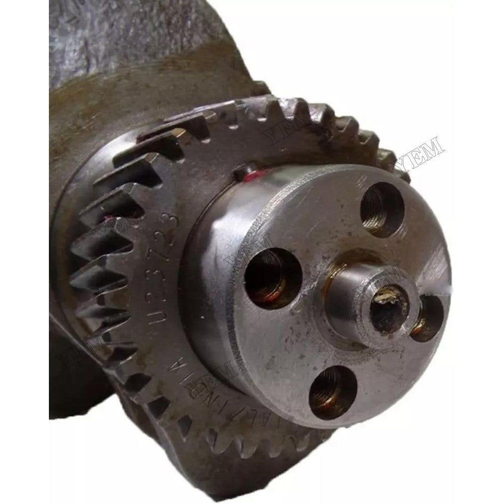 For Cummins Engine ISB 5.9L 6BT 6B5.9 6BTA5.9 Hyundai Forklift HDF50A HDF70A Crankshaft 3915258 For Cummins