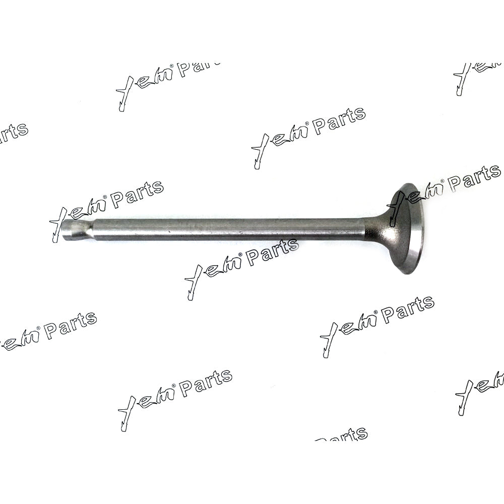 HINO DM100 EXHAUST VALVE For Hino
