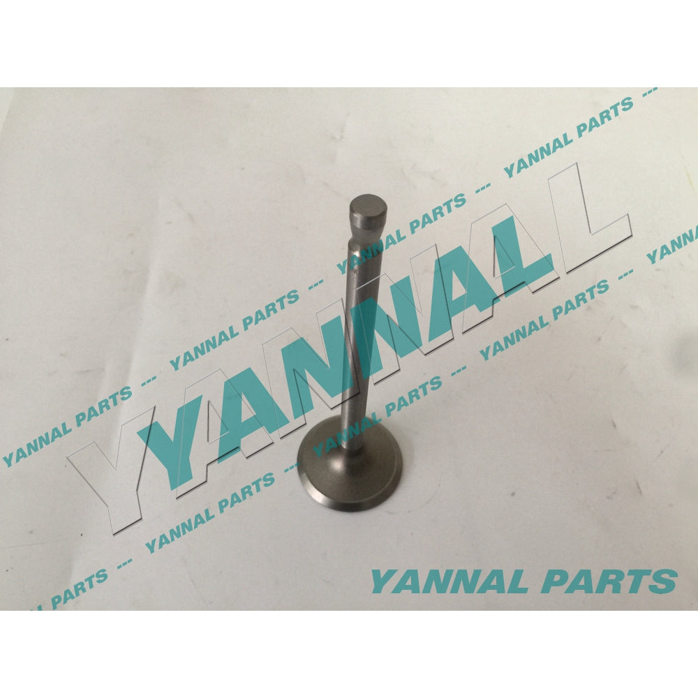 HINO DM100 INTAKE VALVE For Hino