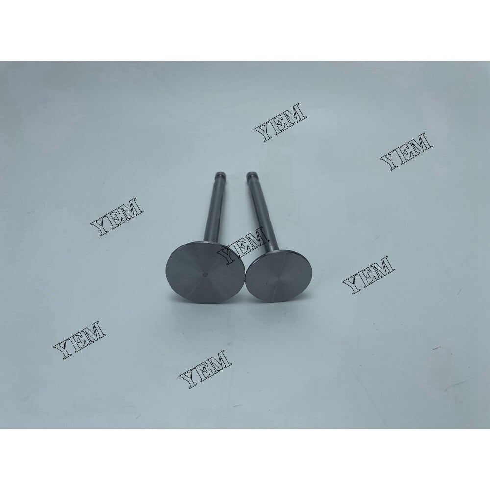 YEM 495AD-13 Ex & In Valve Weichai excavator diesel engine YEMPARTS