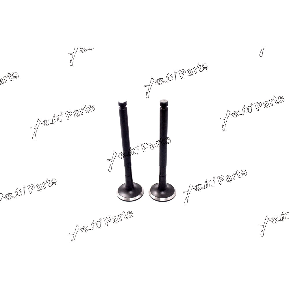 YEM Engine Parts 1 Set Intake Valve & Exhaust Valve For Yanmar 3T84HL 3T84HLE 3T84HTLE-TB Engine For Yanmar