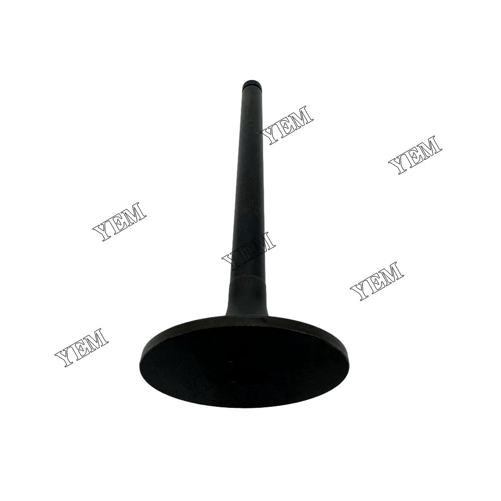 13711-1561 13711-1012 13711-101A 13711-1390A Intake And Exhaust Valve EF750 Engine For Hino spare parts YEMPARTS