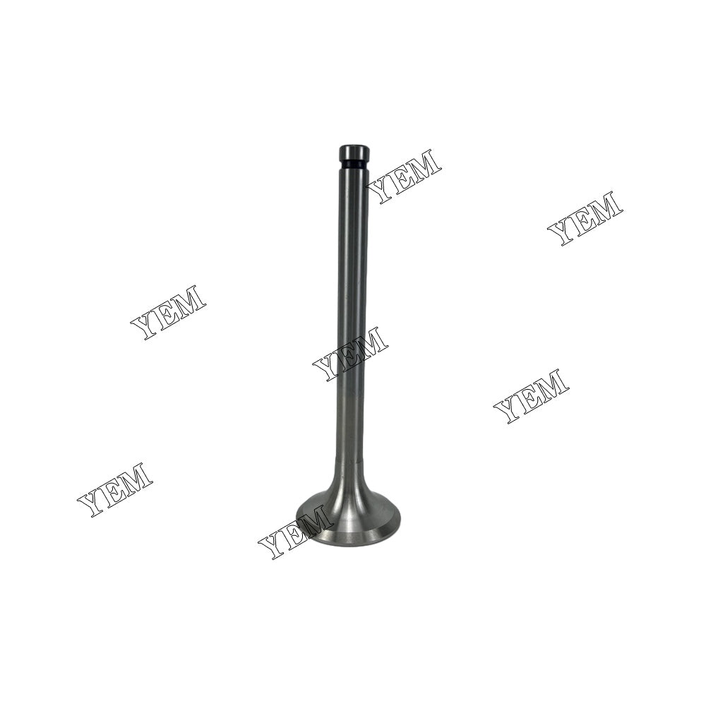 Intake And Exhaust Valve PE6 Engine For Nissan spare parts YEMPARTS