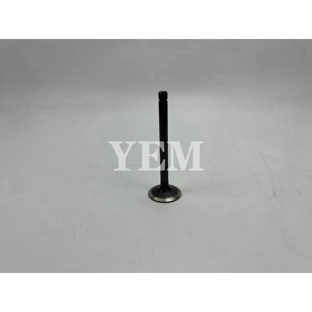 KUBOTA EG543-13110 VALVE (INLET) For Kubota