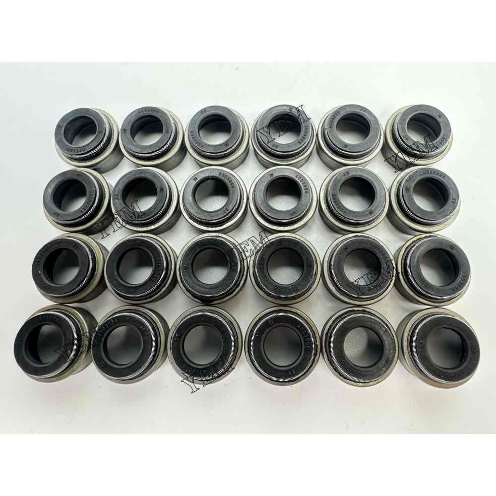 YEM Parts 24 PC Part Number 4003966 Valve Oil Seal For Cummins M11 Engine