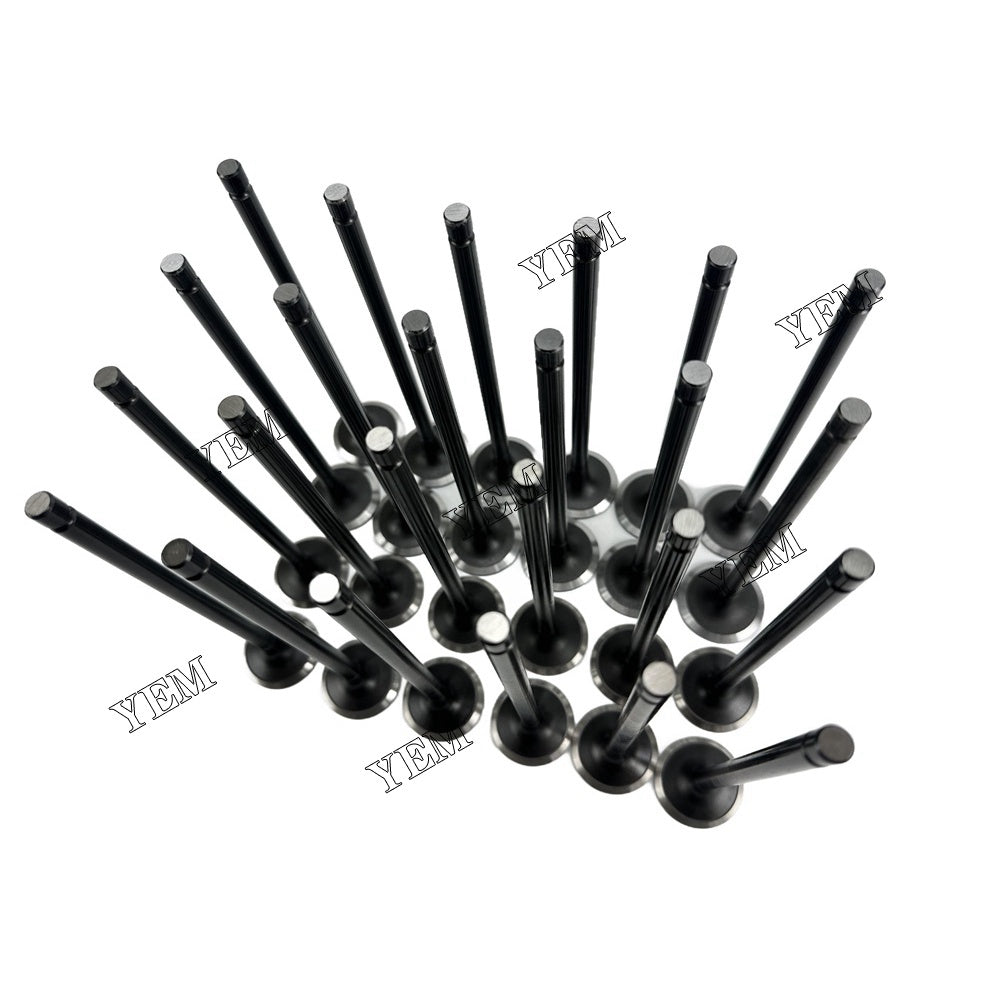 YEM Parts For Hyundai Intake and exhaust valves D6CB Engine Spare Parts For Hyundai