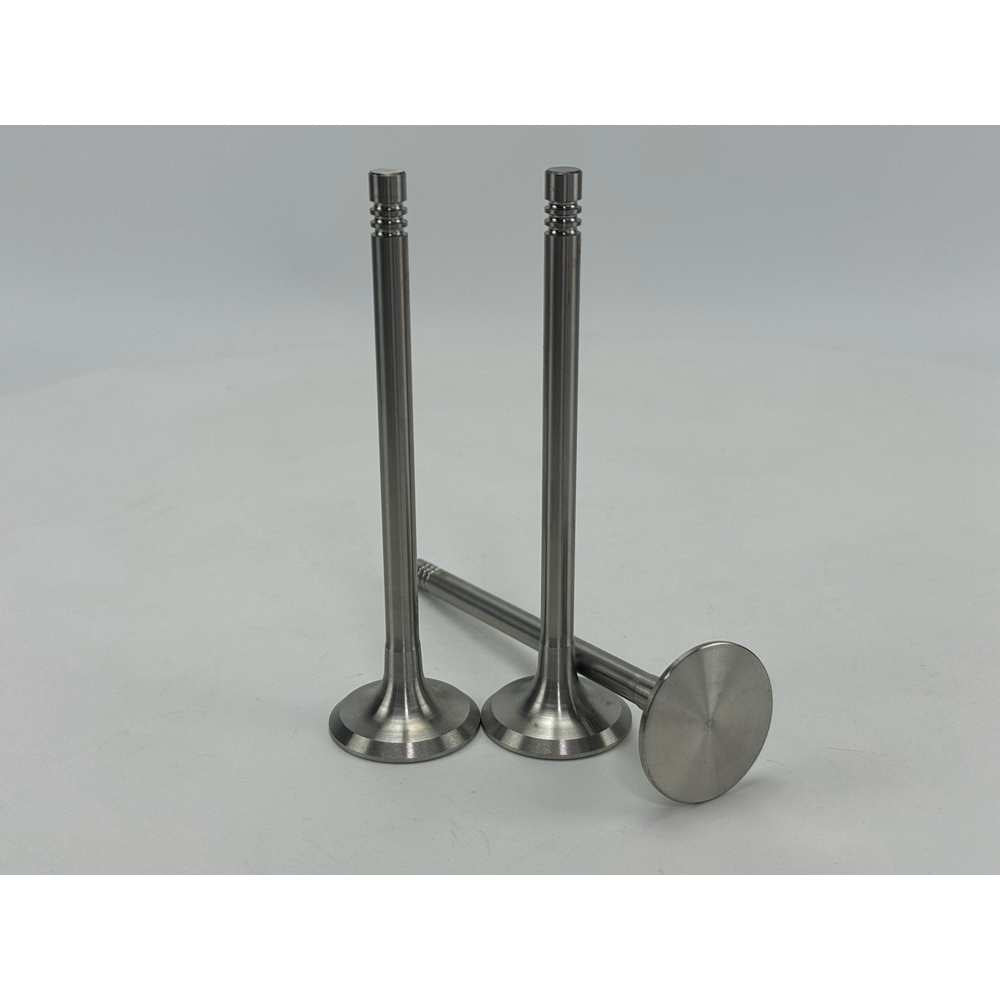 YEM Parts 3 pcs Intake and Exhaust Valve 04159139+04159136 for Deutz F3L912W Engine
