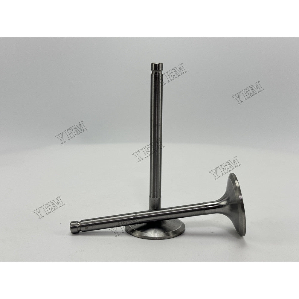 YEM Parts 4 pcs Intake Valve for YANGDONG Y4102D Engine Engine Spare Parts For YANGDONG