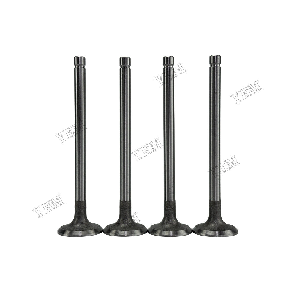 YEM Parts 4105T52 Exhaust Valve for Dongfanghong Mechanical Spare Parts For Dongfanghong