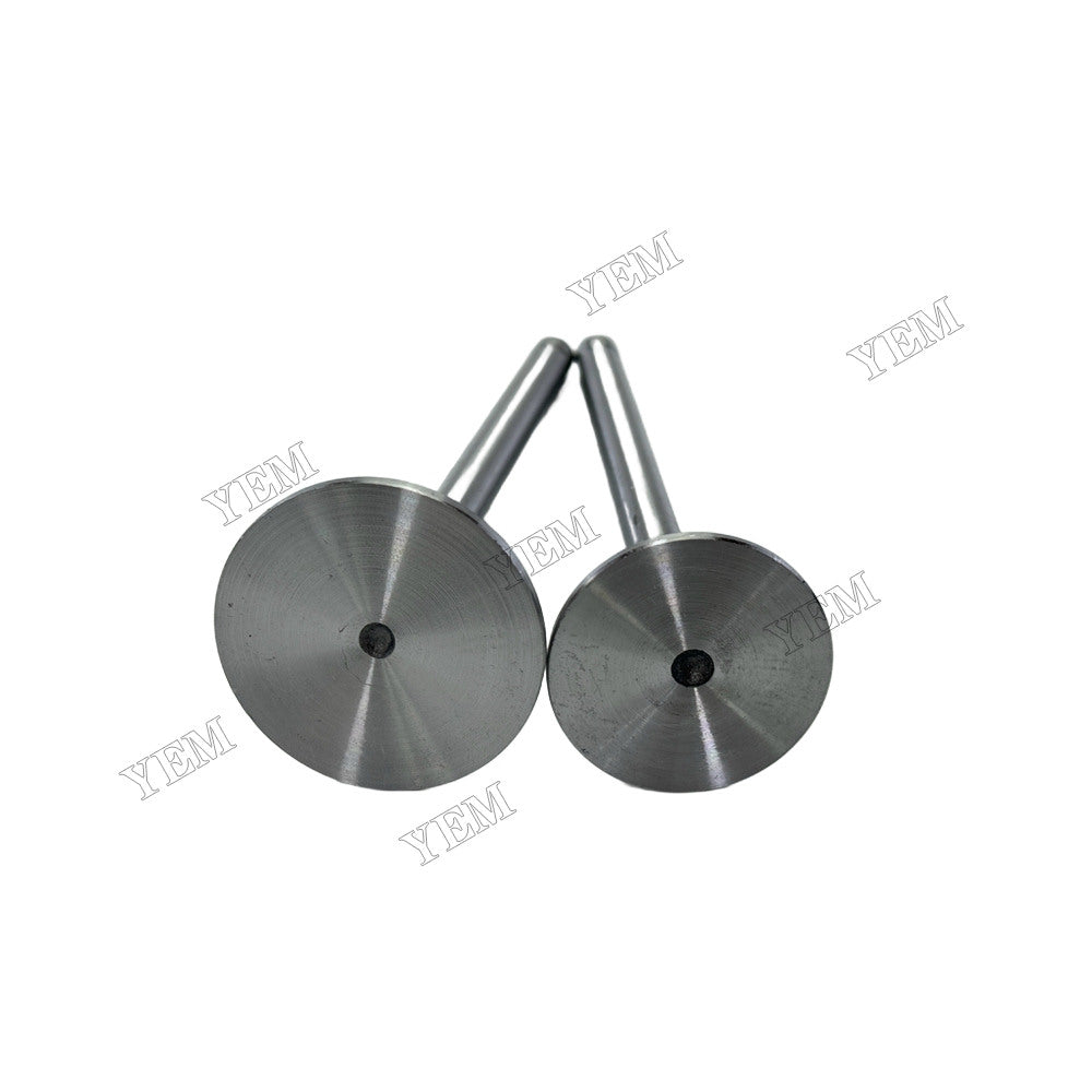 YEM Parts 4105T52 Intake & Exhaust Valves for Dongfanghong Mechanical Spare Parts For Dongfanghong