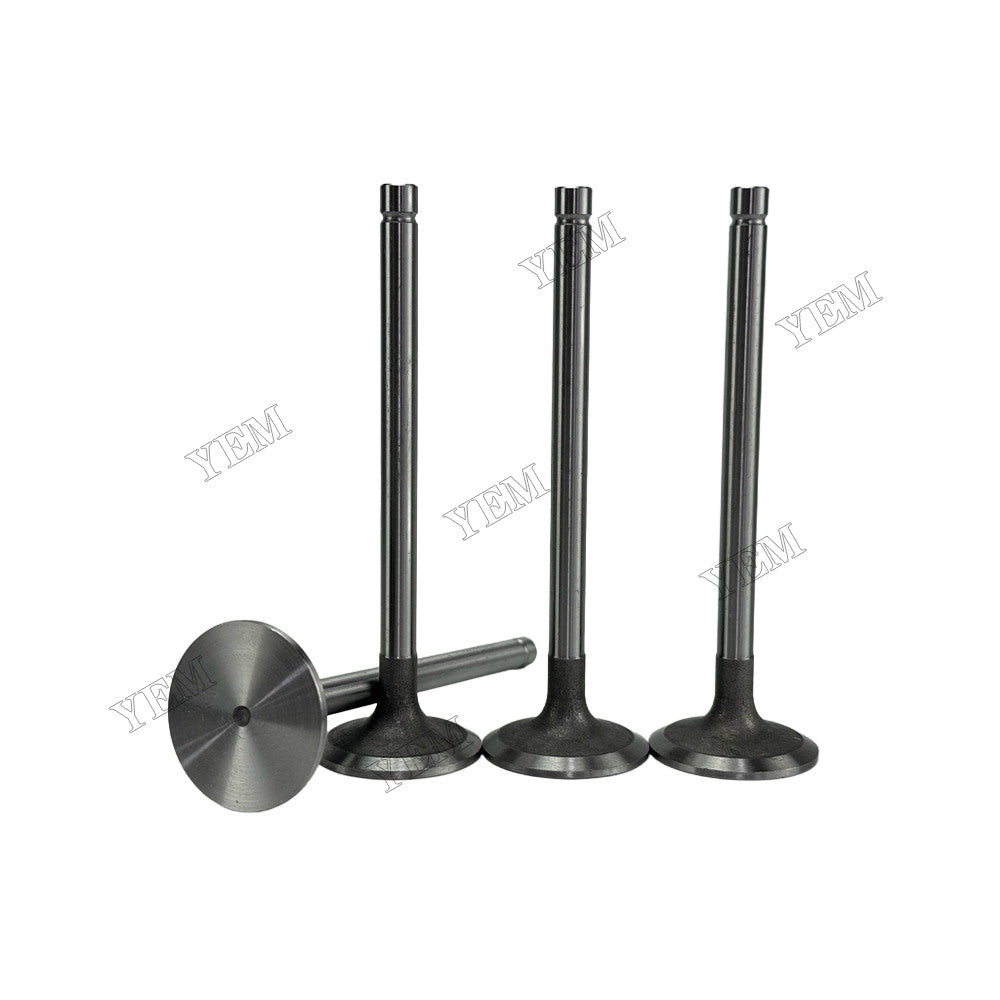 YEM Parts 4105T52 Intake Valve for Dongfanghong Mechanical Spare Parts