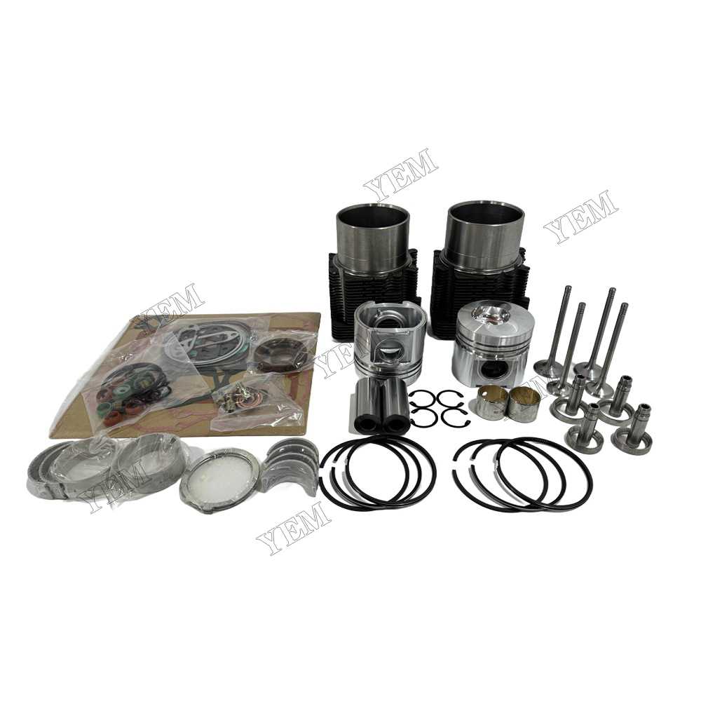 YEM Parts Overhaul Kit With Valves for Deutz F2L511 Diesel Engine Spare Parts
