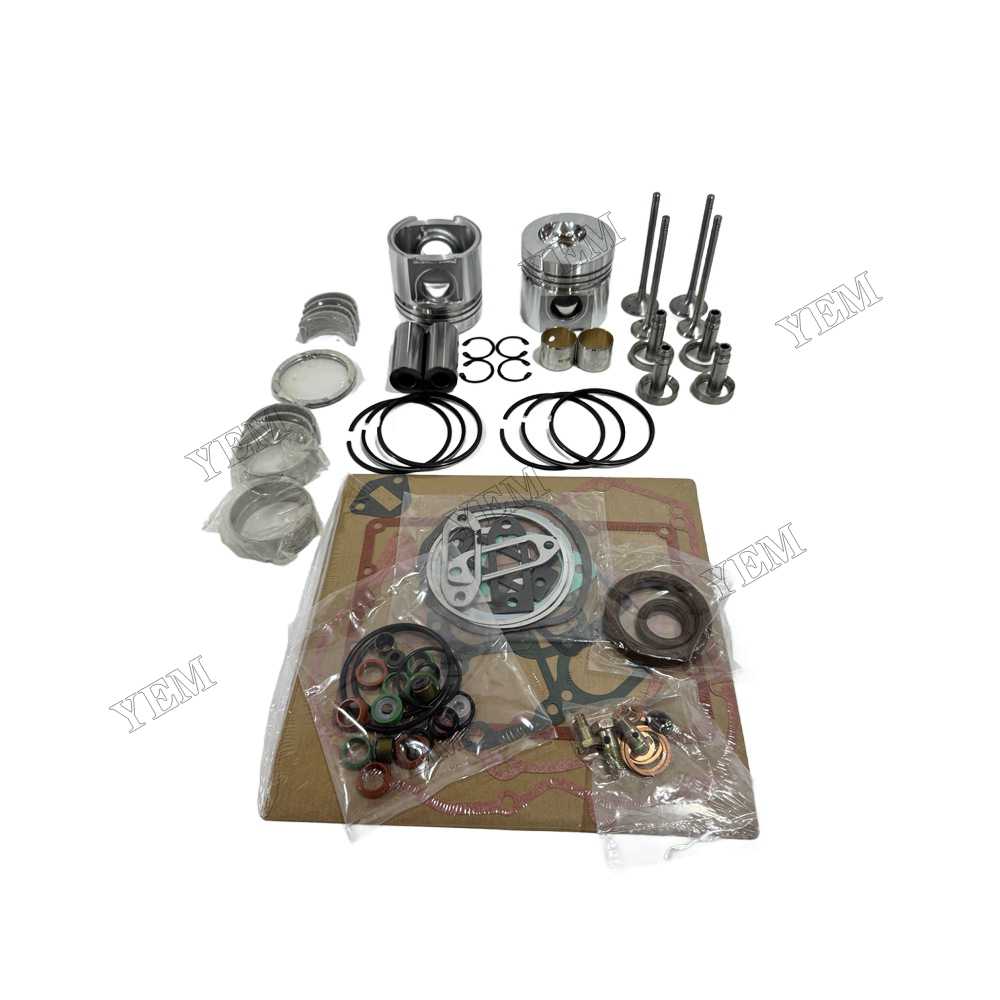 YEM Parts Piston Kit With Gasket Set With Bearing Set With Valves for Deutz F2L511 Spare