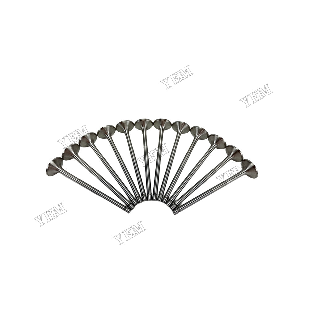 YEM Parts Exhaust Valve for Volvo D16F Diesel Engine Spare Parts