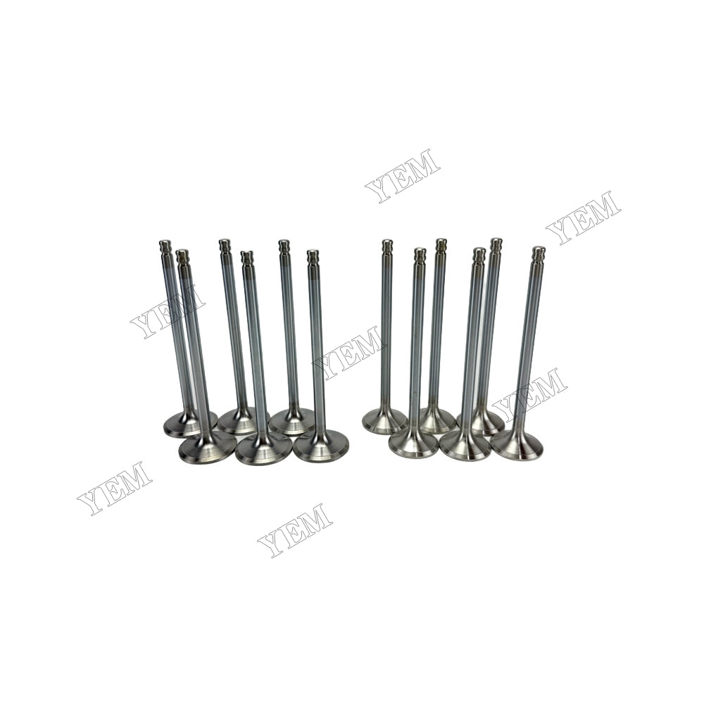 YEM Parts 8192143 3825723 Intake & Exhaust Valves for Volvo TD640VE Spare Parts
