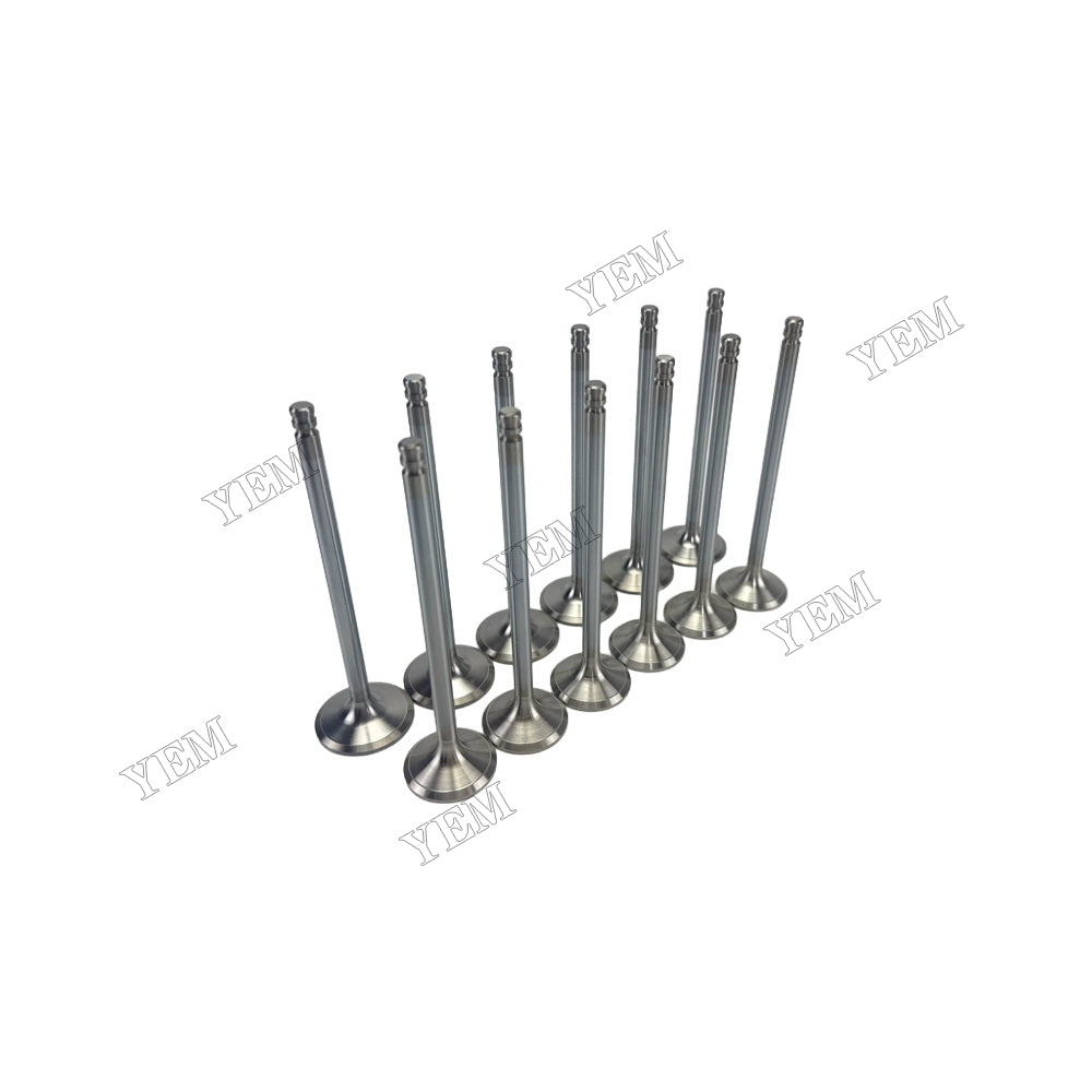 YEM Parts 8192143 3825723 Intake & Exhaust Valves for Volvo TD640VE Spare Parts For Volvo