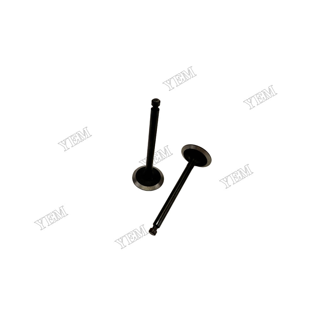 YEM Parts 119260-11100 Valve for Yanmar 3TNE68 Diesel Engine Spare Parts For Yanmar