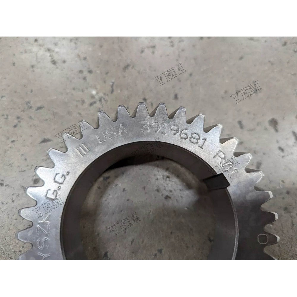 For Cummins Engine 4B 6B 6C 3.9L 5.9L Crankshaft Gear 3919681 For Cummins