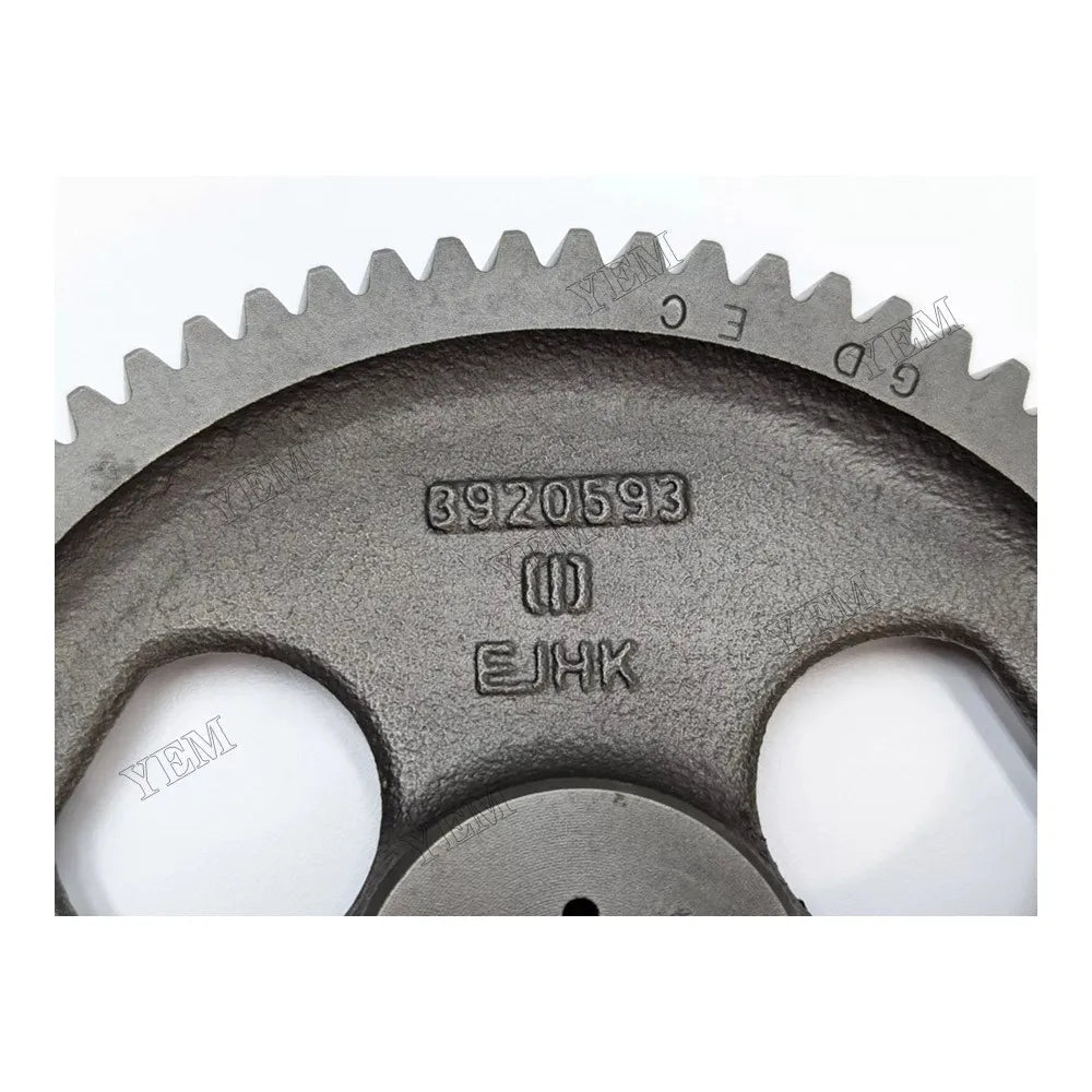 For Cummins Engine 4B 4BT 6B 6BT QSB Fuel Pump Gear 3920593 3910532 3929032 3931383 3936021 4932713 For Cummins