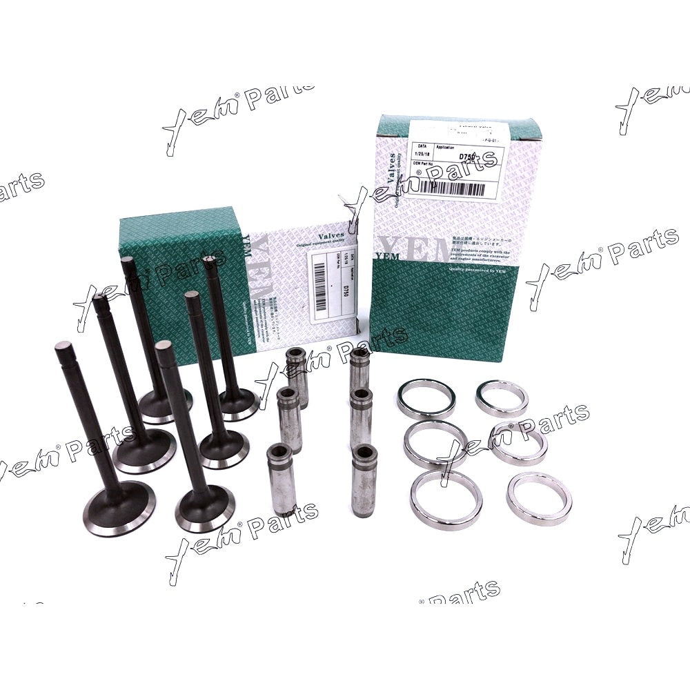 YEM Engine Parts 1 Set Valve Guide Seat Intake Valve & Exhaust Valve For Kubota D750 Engine For Kubota