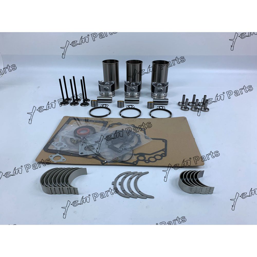 YEM Engine Parts Overhaul Kit For Caterpillar 3003