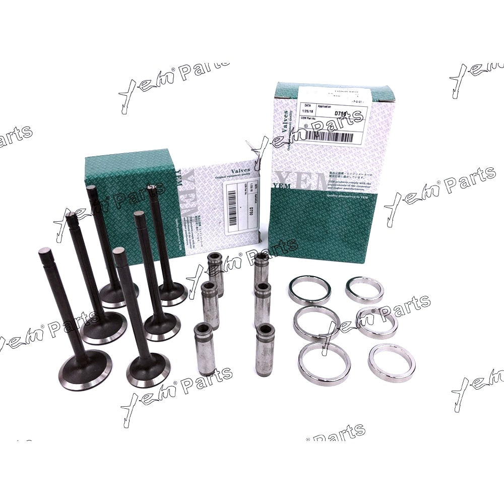 YEM Engine Parts 1 Set Valve Guide Seat Intake Valve & Exhaust Valve For Kubota D750 Engine For Kubota