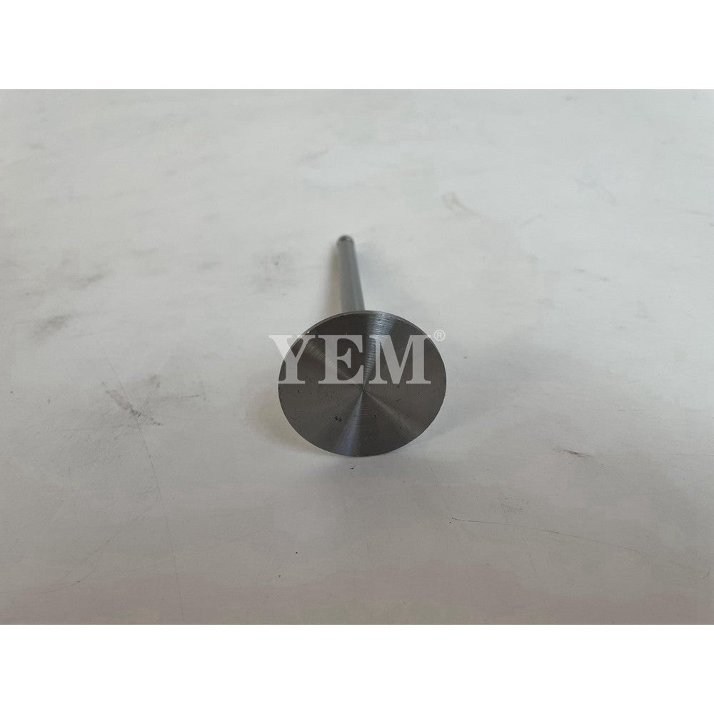 XINCHAI A498BT1 EXCAVATOR ENGINE PARTS A498BT1 VALVE For Other
